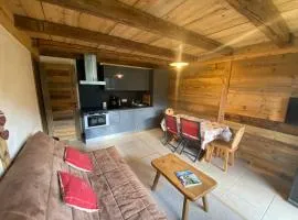 Charmant 3 pièces rénové avec terrasse, proche des pistes - La Clusaz, Le Crêt du Merle - FR-1-459-28