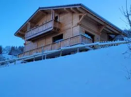 Magnifique Chalet neuf 8 pers, 800 m télécabine Princesse Megeve