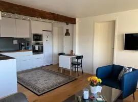 Cosy flat near Cable car and The Arctic Cathedral