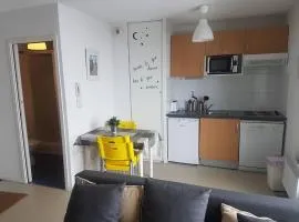 Studio cosy pour 4 pers avec kitchenette, parking et casier à skis à Arette - FR-1-602-112