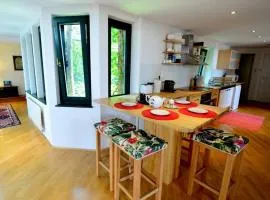 Green haven roofgarden penthouse in central area