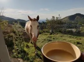 Potrero del Rey