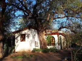 Cabaña Hannah