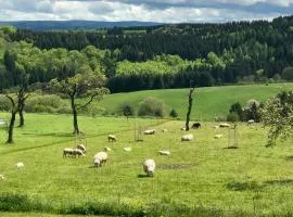 Ferienwohnung Westwind