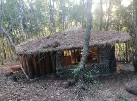 Cabaña Amor de los Tronquitos, Camino Villarrica