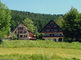 Gasthof Erlenhof, svečių namai mieste Alpirsbachas