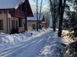 Полярис Polyaris