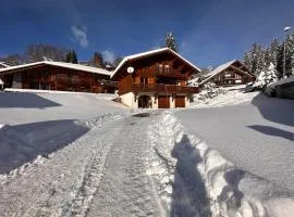 Chalet 4 chambres, 9 pers, pied des pistes, garage 2 voitures - FR-1-572-279