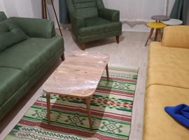 daily rental apartment 5 minutes to the airport, apartment in Pazar