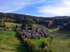 Terrassenpark Apartments (low budget), hotel with pools in Sasbachwalden