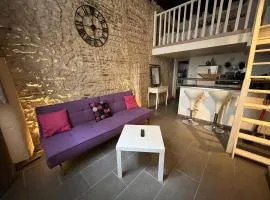 Duplex de charme Orléans hypercentre Cathédrale-Parking possible