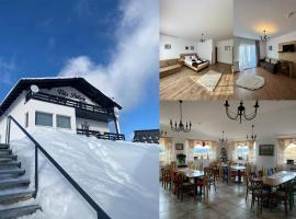 Vila Paltinis โรงแรมในปัลตินิช