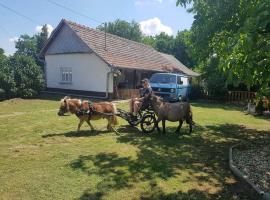 TomajLóvastora Romantikus Ház, hotel que accepta animals a Tomajmonostora