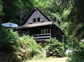 Black Forest House