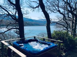 Waterside Cader Cabin with Hot Tub，巴茅思的飯店