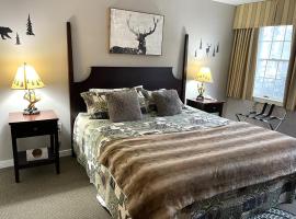 핸콕에 위치한 숙소 Ski On Off 1BR Suite 1st Flr Sleeps 4 Jiminy Peak