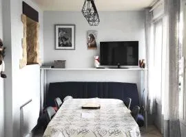 Appartement cosy avec parking, plein sud - 3 pièces, 7 Rue Jean Calvet - FR-1-580-84