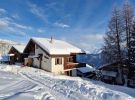 Bettmeralp Chalet Zendorn, hotel in Bettmeralp