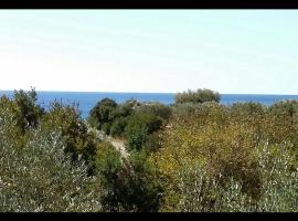 Amazing Cottage close from the sea - Crete, farm stay in Palaiochóra