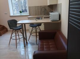 Chorni vivtsy, apartamento em Chernivtsi