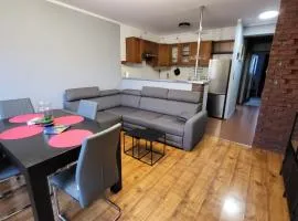 Apartament Skarbka