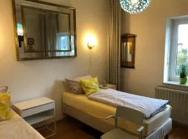 Apartment in Gelb, mit Balkon, Kamin, 50 Schritte zu Radweg, ideal for Long Stay, 4 Singles in Single Rooms