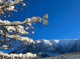 Teichwies'n Alm Wilde Wunder Card, hotel en Lackenhof