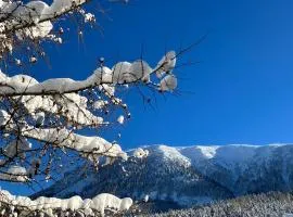 Teichwies'n Alm Wilde Wunder Card