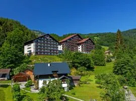 Appartementhaus Dachsteinblick mit Indoorpool und Sauna