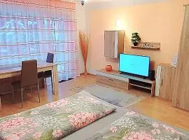 Ferienwohnung Schöne Aussicht