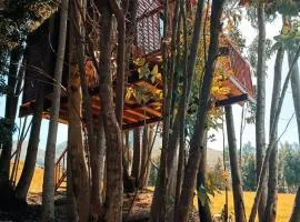 Casa en el Árbol Guatavita