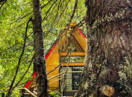 Casa del Árbol - Malalcahuello, hotel cerca de Navidad, Malalcahuello