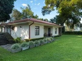 Olive Bungalow