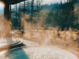 Aries Hotel & SPA Wisła, lyžařské středisko ve Visle