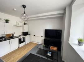 Comfortable modern (SMART) Studio in Walthamstow., жилье для отдыха в Лондоне