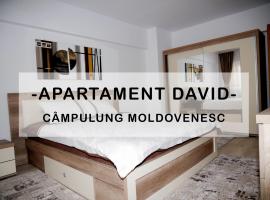 Apartament David, apartment in Câmpulung Moldovenesc