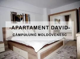 Apartament David