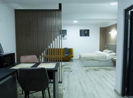 Yello Studio, hotel with parking in Frasin