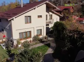 Casa Maxim - Locuință privata la poalele masivului Straja
