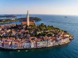 Room in Rovinj with terrace, air conditioning, W-LAN 81-6