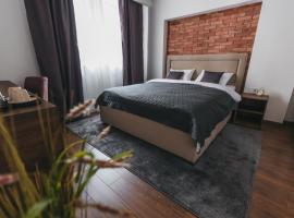 City Centar House, serviced apartment in Niš