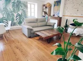 Superbe appartement duplex centre ville de Macon