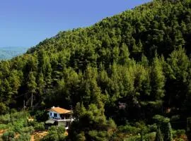 Philippos 1