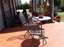 Il Giardino degli Ulivi Castiglione del Lago