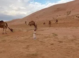 Sand Delight Camp