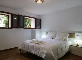 Valley views apartment in Agaete