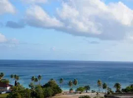 Maison de 3 chambres a Riviere Pilote a 200 m de la plage avec jardin clos et wifi