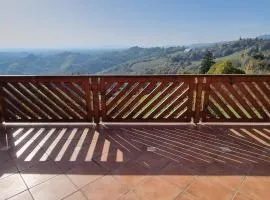 Wine Panorama house