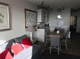 3 pièces au pied des pistes avec balcon et WIFI à Tignes - FR-1-449-50