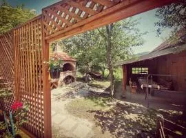 Holiday house with a parking space Brod Moravice, Gorski kotar - 20512